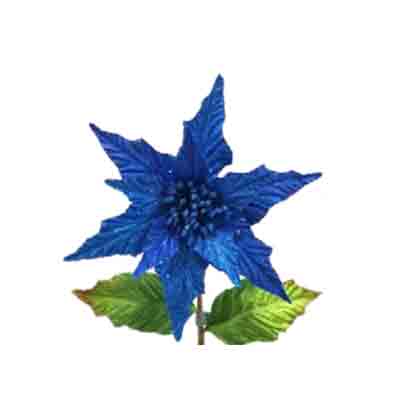 10" Poinsettia Blue