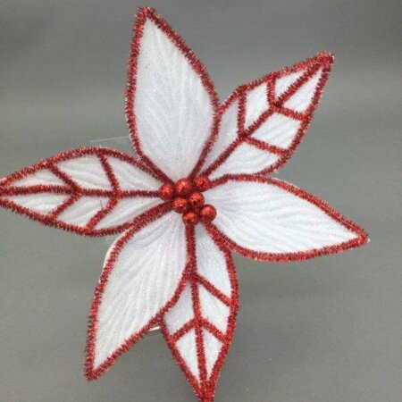 White Red Trim Poinsettia