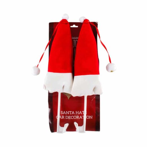 Car Santa Hat