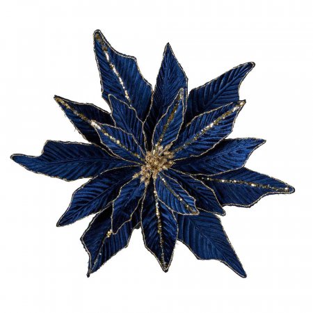 Dark Blue Poinsettia