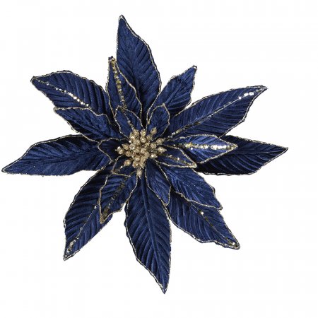 Dark Blue Poinsettia
