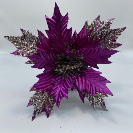 Poinsettia Purple